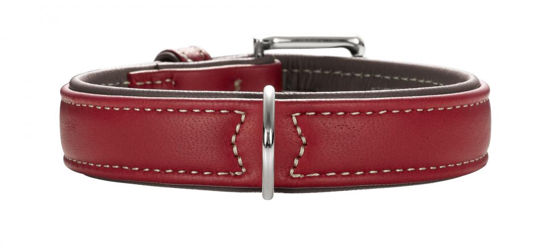 Clearance Sale | Paw & Partners